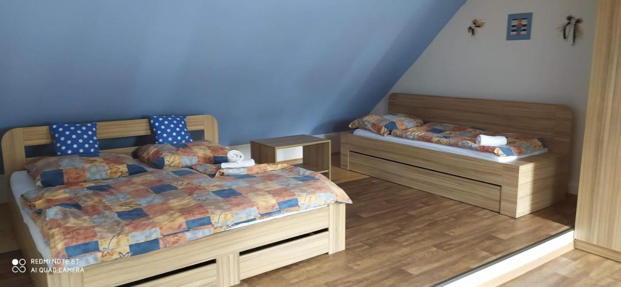 Apartmany Natalie Dvory nad Luznici Eksteriør billede
