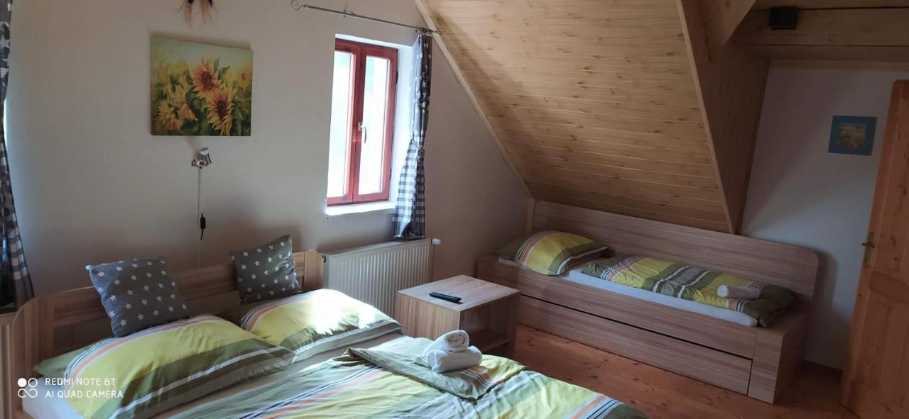 Apartmany Natalie Dvory nad Luznici Eksteriør billede